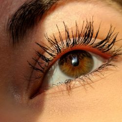 maquillage permanent yeux - lash liner